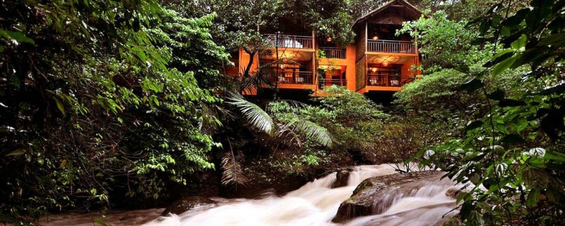 Take a trip to this beautiful jungle resort for a peaceful vacation