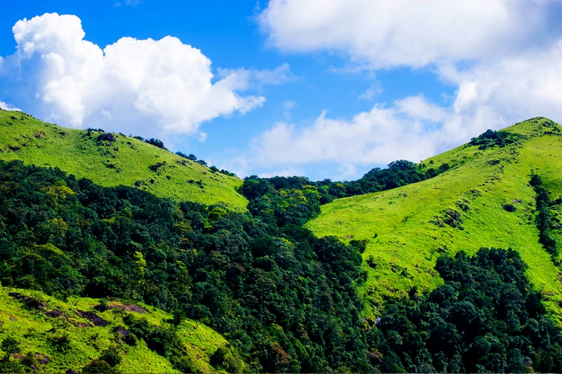 Ranipuram -Trek the uncharted hills of the western ghats .