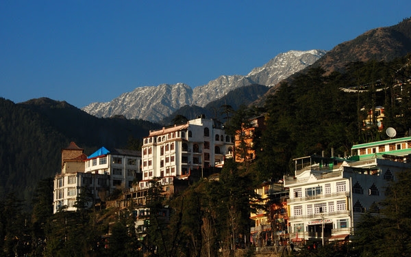 Mcleodganj new year celebration