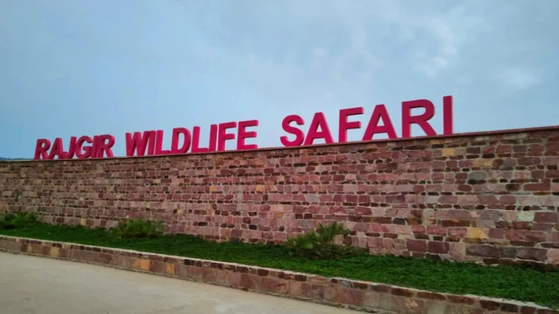 zoo safari park rajgir