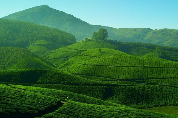 Munnar