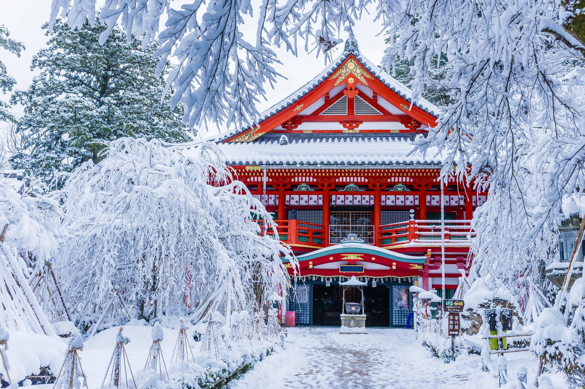 Pack your bags and head to these places tis a bell season!