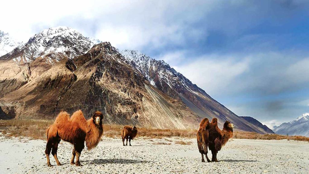 Hemis National Park