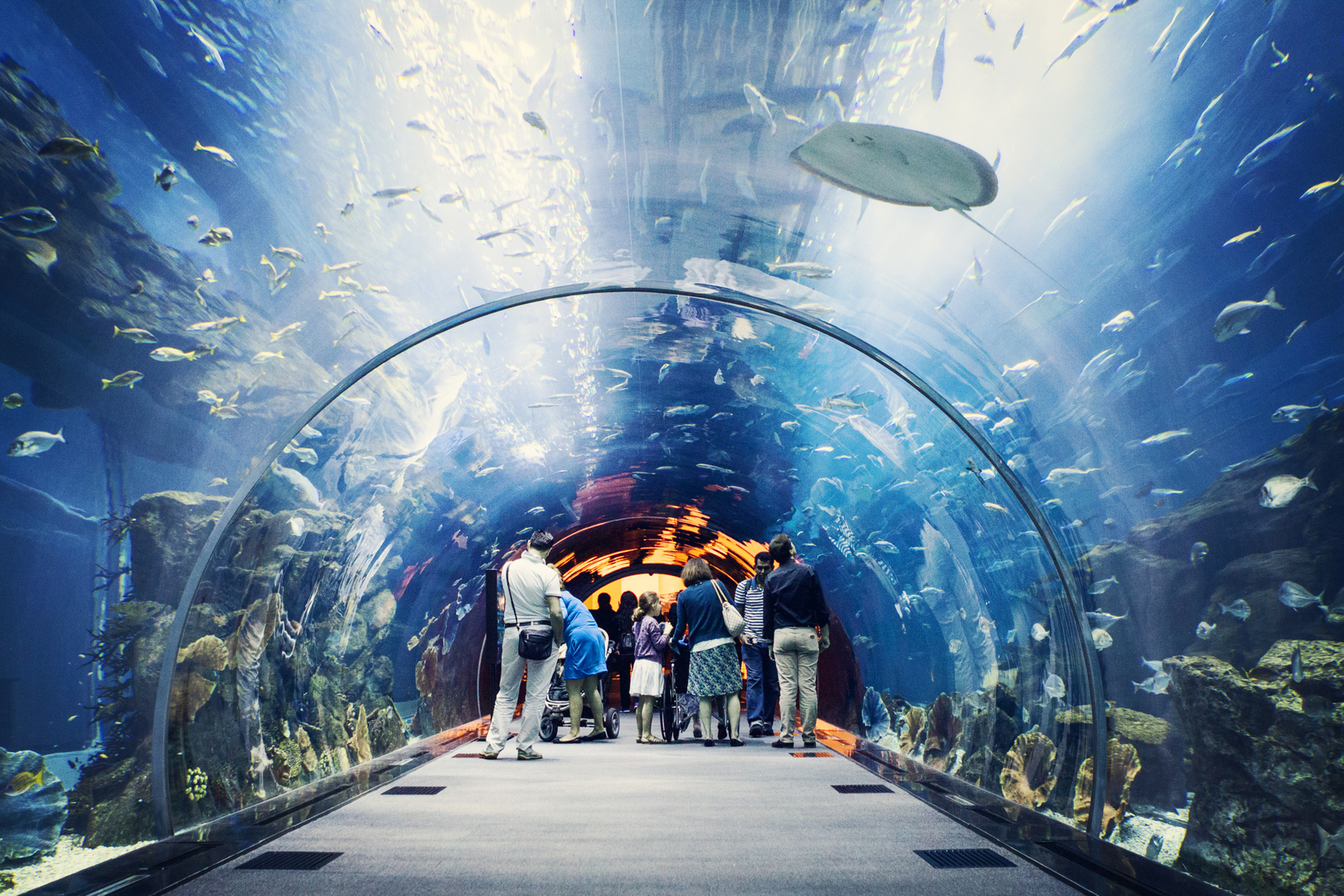 dubai aquarium