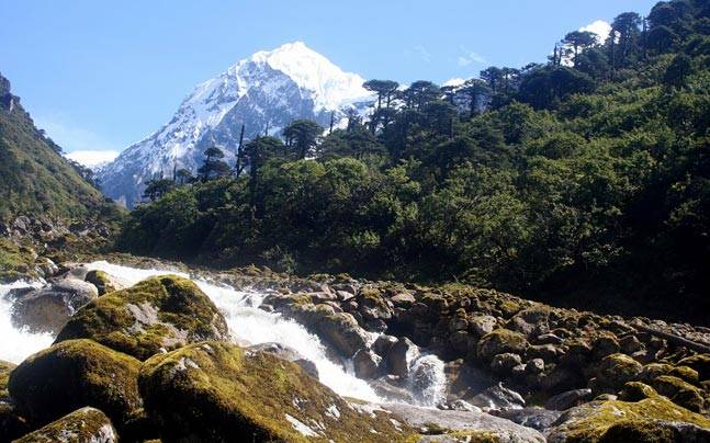 Khangchendzonga National Park: A Ultimate esscpe Lap of Mother Nature