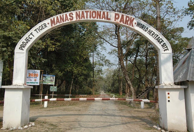 Manas National Park: A Wild Utopia In The North East