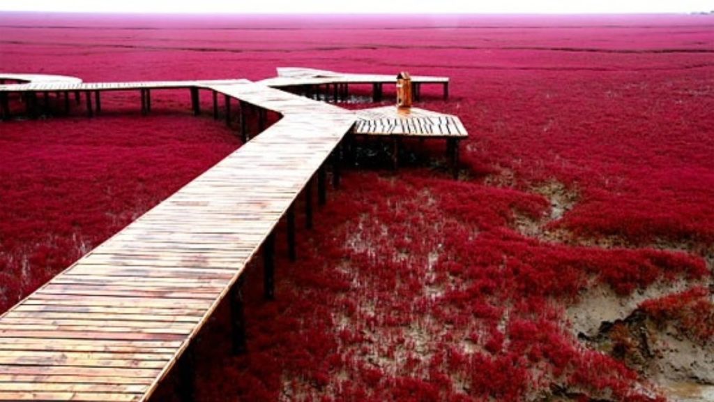 Red Beach, China