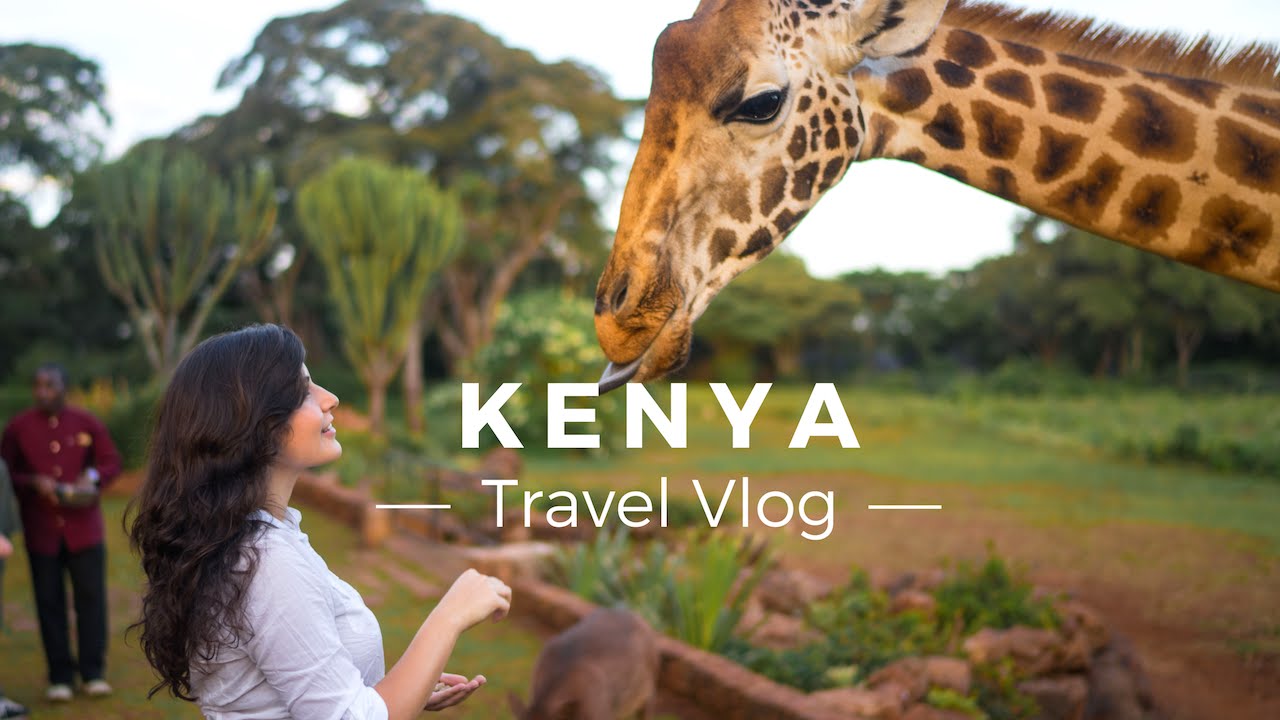 Into the wildWoods : Things to do in Kenya