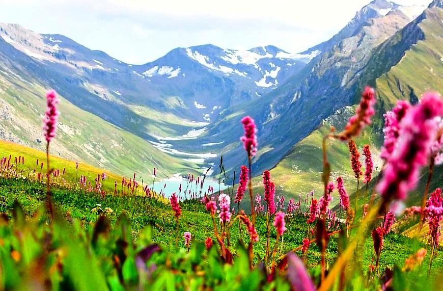 Valley of Flowers Trek | NGTRAVELLER